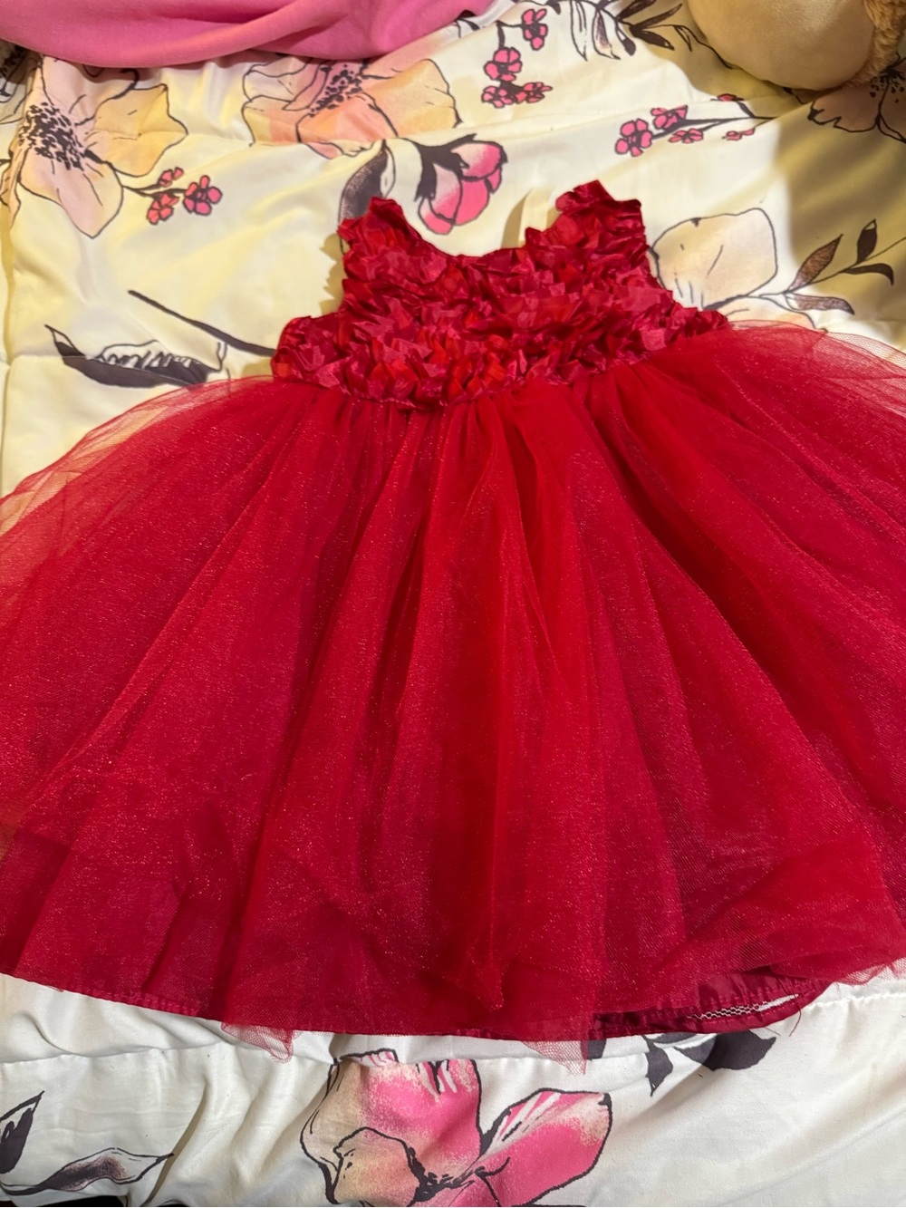 Cherokee Red Tulle Floral Appliqué Party Dress
